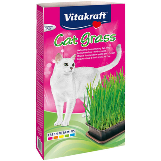 Katteurt Med Frosk I Boks 120G