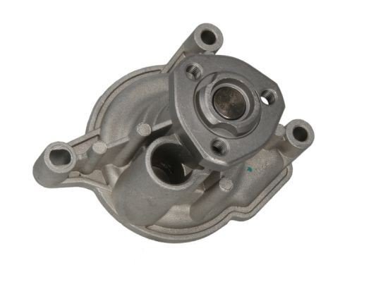 THERMOTEC D1W053TT Vannpumpe
