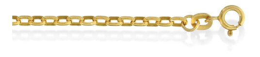 Pan Jewelry, Oval anker kjede i forgylt 925 sølv 2,8 mm, 45-50 cm