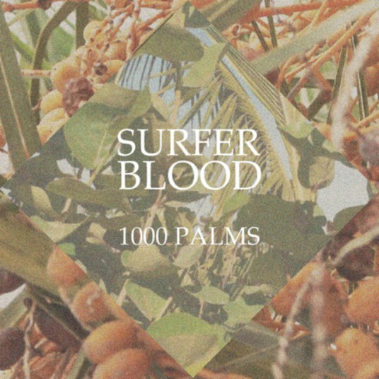 Surfer Blood 1000 Palms CD