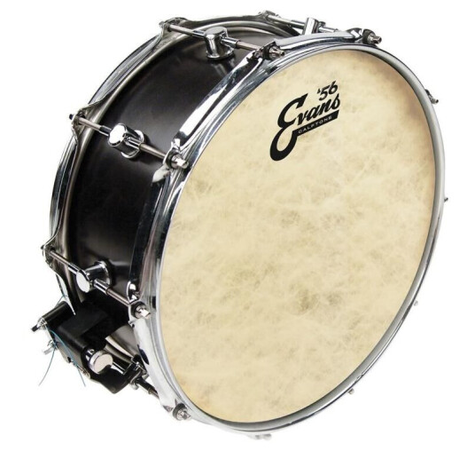 Evans Tt14c7 14 Calftone Trommeskinn
