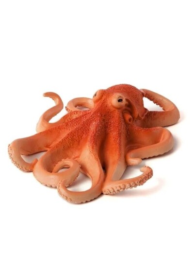 Mojo   Sealife Octopus