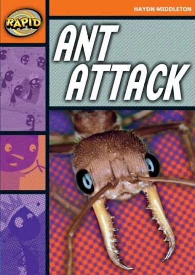 Rapid Reading: Ant Attack (Stage 4, Level 4b) Av Haydn Middleton