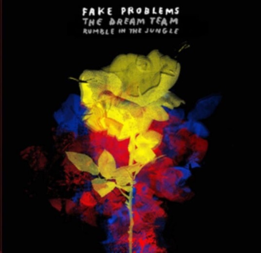 Fake Problems The Dream Team LP/Vinyl