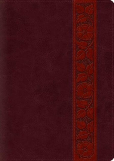 Esv Study Bible, Large Print Esv Study Bible, Large Print