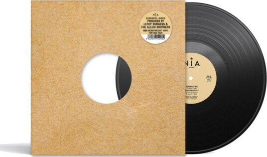 Summertime Vinyl