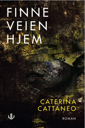 Finne veien hjem roman