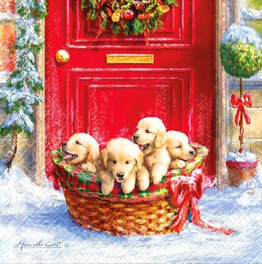Lunsj serviett Christmas Puppies fra BC Home. Lunsj serviett Christmas Puppies fra BC Home.