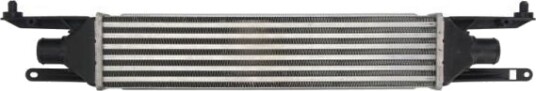 Intercooler THERMOTEC DAF008TT