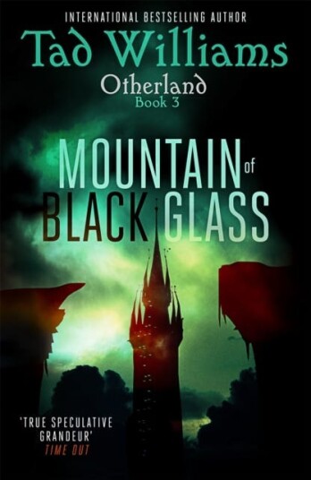 Mountain of Black Glass  Otherland Book 3