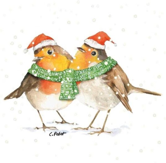 Paper Product Design Middagsservietter Jul "Frida & Fritz Winter" Fra Ppd