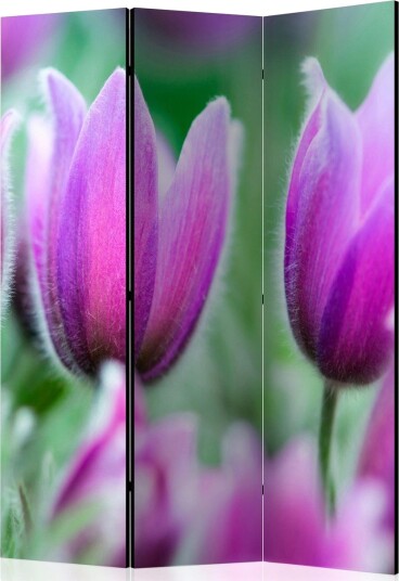 Romdeler Purple Spring Tulips - Artgeist sp. z o. o.