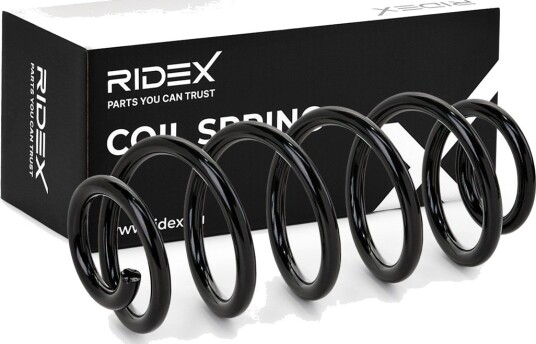 RIDEX 188C0424 Fjær RIDEX 188C0424 Fjær