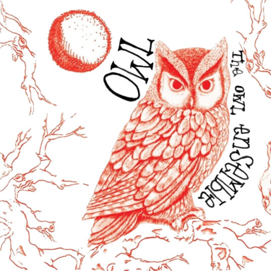 The Owl Ensemble Owl CD