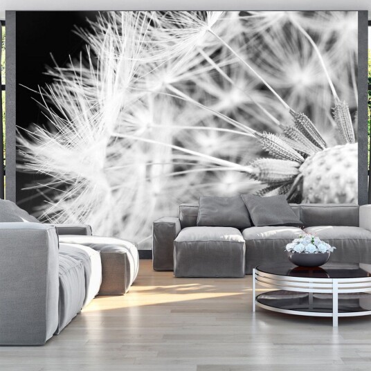 Fototapet Black And White Dandelion 400x280 - Artgeist sp. z o. o.