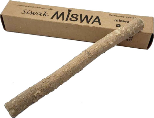 Miswak Tannbørste Miswa Siwak Salvadora Persica Miswak Tannbørste Miswa Siwak Salvadora Persica