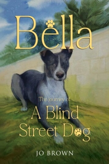 Bella the journey of A Blind Street Dog