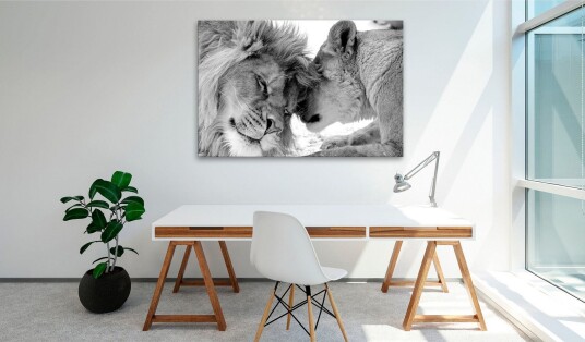 Tavle Lion'S Love 90X60 Artgeist sp. z o. o.