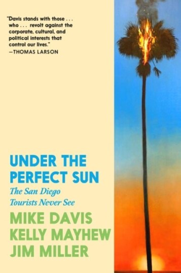 Under the Perfect Sun Under the Perfect Sun