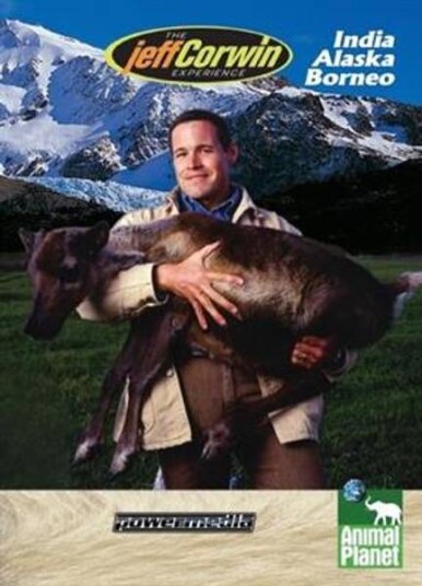 The Jeff Corwin Experience India / Alaska / Borneo DVD The Jeff Corwin Experience India / Alaska / Borneo DVD