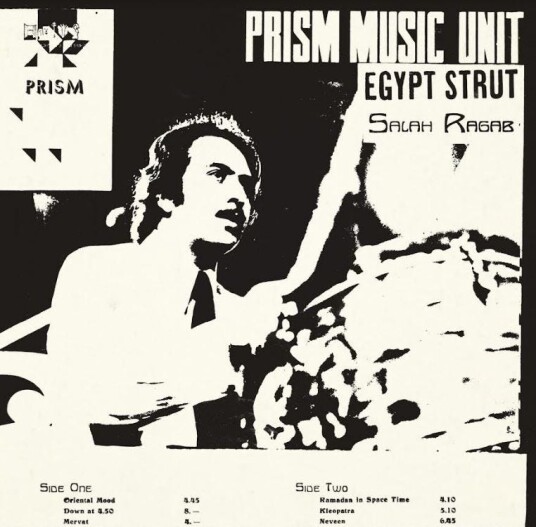 Salah Ragab & The Cairo Jazz Band, Salah Ragab, The Cairo Jazz Band Egypt Strut LP/Vinyl Salah Ragab & The Cairo Jazz Band, Salah Ragab, The Cairo Jazz Band Egypt Strut LP/Vinyl