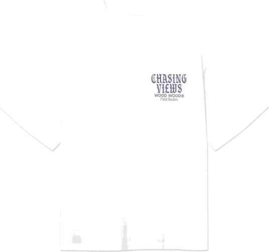 WOOD WOOD Wwgary Flares Tee 25530 BRIGHT WHITE XS