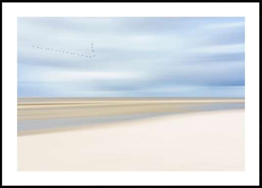 Birds Over Serene Shore Plakat / 70x100 Birds Over Serene Shore Plakat / 70x100