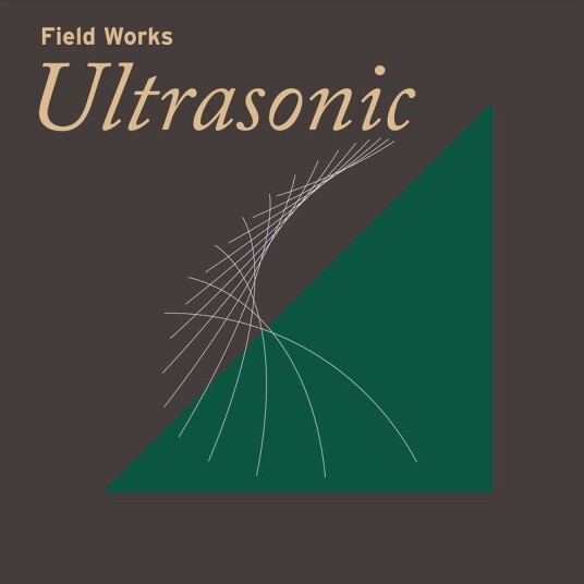 Diverse Artister Field Works Ultrasonic Vinyl