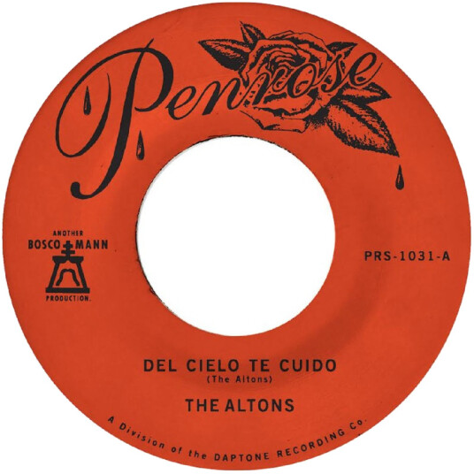 Del Cielo Te Cuido / Perdoname