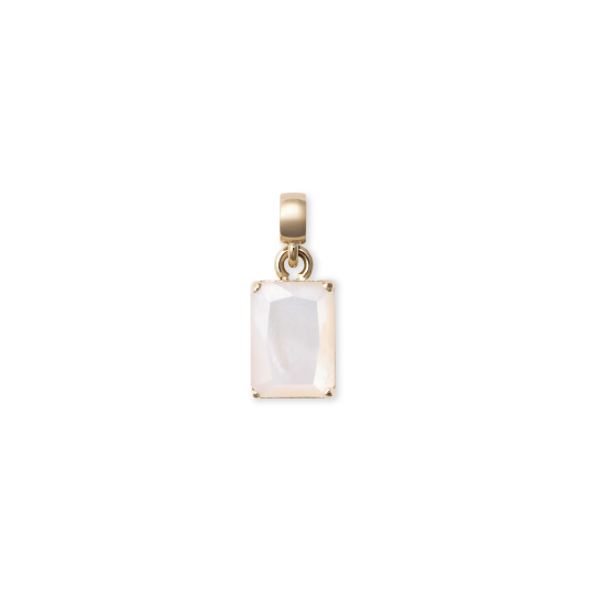 Daniel Wellington DW Charm Elemental One Size Gold Daniel Wellington DW Charm Elemental One Size Gold