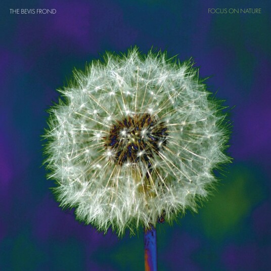 The Bevis Frond Focus On Nature CD The Bevis Frond Focus On Nature CD