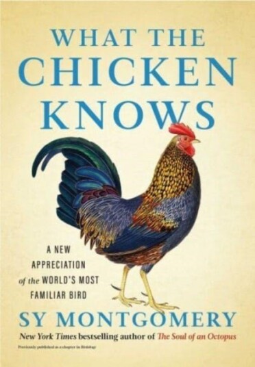 What the Chicken Knows What the Chicken Knows