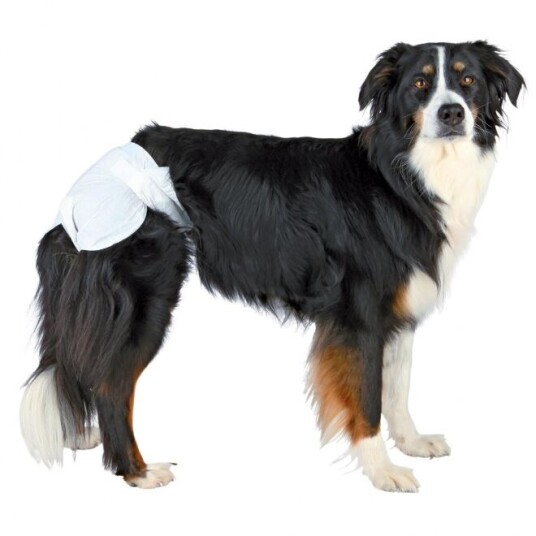 Trixie Hundebleier 12-Pakk (M/L) Trixie Hundebleier 12-Pakk (M/L)