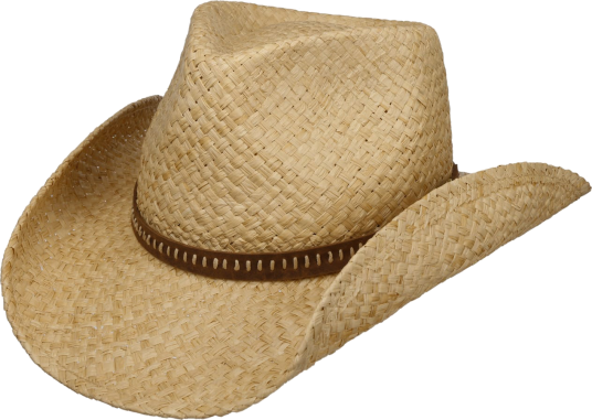 Stetson Fair Oaks Western Straw Hat Natur 57/M