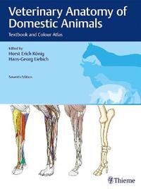 Veterinary Anatomy Of Domestic Animals Veterinary Anatomy Of Domestic Animals