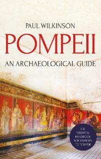 Pompeii Av Paul Wilkinson