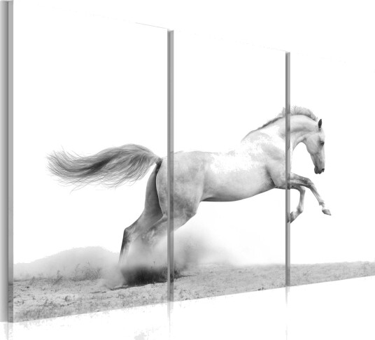 Bilde A Galloping Horse 60x40 Artgeist sp. z o. o.