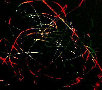 MediaTronixs Beat Spacek : Modern Streets CD (2015) Pre-Owned