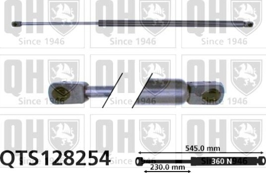 QUINTON HAZELL QTS128254 Baklukedemper