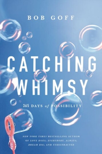 Catching Whimsy 365 Days of Possibility Catching Whimsy 365 Days of Possibility