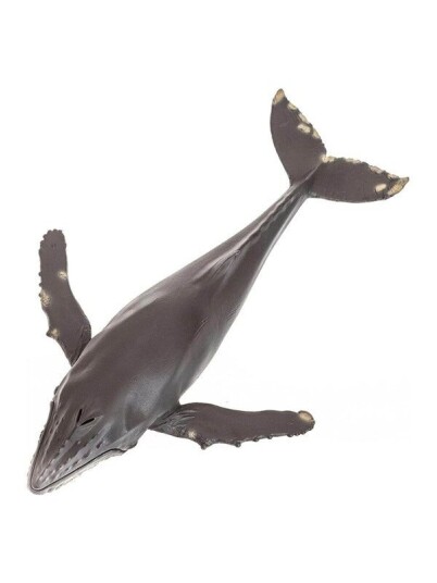 Mojo   Sealife Humpback Whale Large