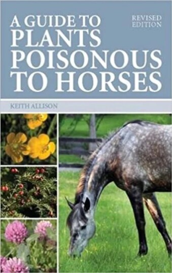 Guide To Plants Poisonous To Horses Av Keith Allison Guide To Plants Poisonous To Horses Av Keith Allison