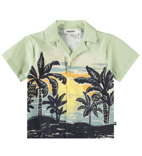 Molo Eyou - Green - 92 Molo Eyou - Green - 92