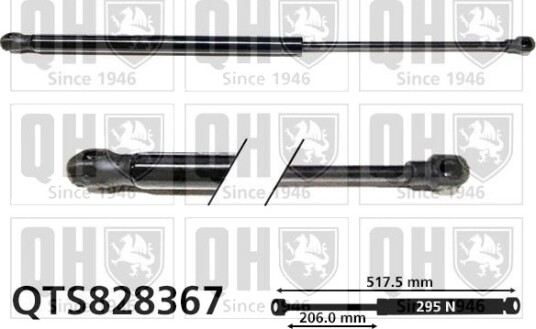 QUINTON HAZELL QTS828367 Baklukedemper