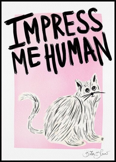 Cat Owner Impress Me Human Plakat Plakat / 21x30cm