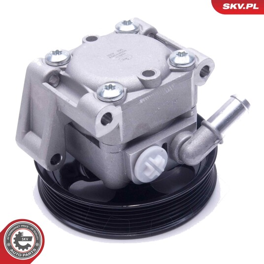 Servopumpe ESEN SKV 10SKV304