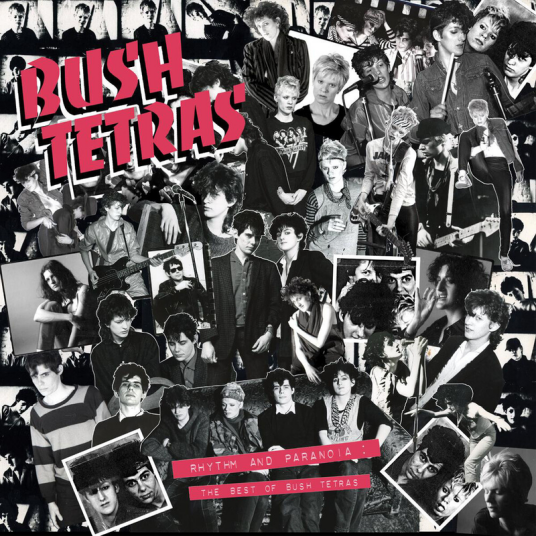 The Bush Tetras  Rhythm & Paranoia: The Best Of Bush Tetras  LP/Vinyl