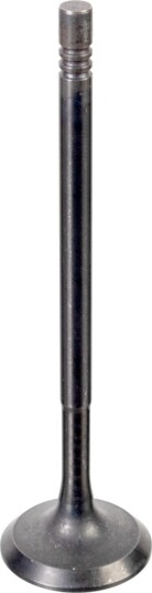 Innløpsventil FEBI BILSTEIN 176538