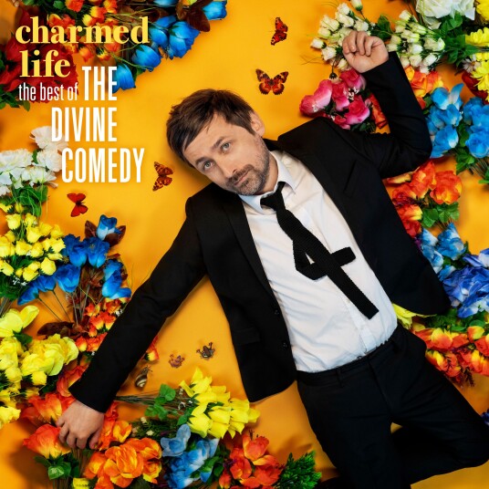 The Divine Comedy  Charmed Life  The Best Of The Divine Comedy  LP/Vinyl