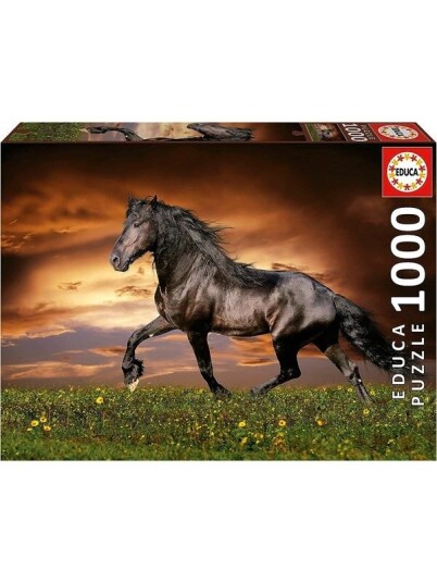 Educa Puzzle Educa 1000 Travhest